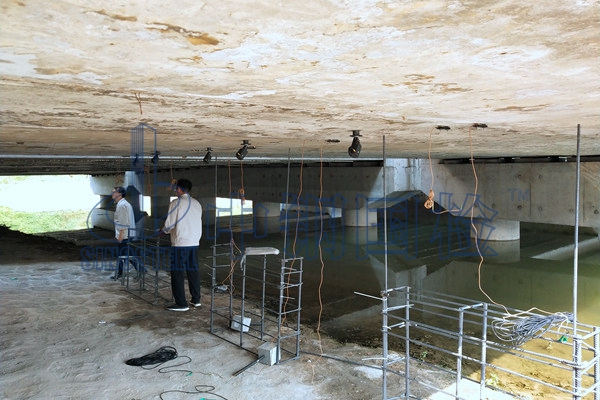 橋梁伸縮縫現場質量檢測報告單