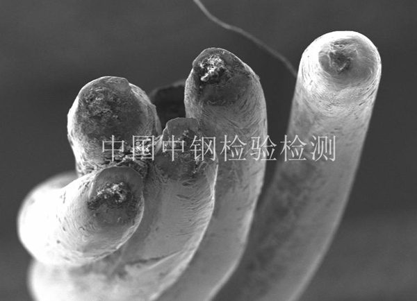 遵義市內有檢測鋼絲繩的機構嗎?