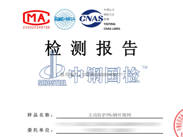 主動防護網-鋼絲繩網檢測報告圖