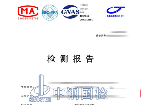 灌注樁檢測報告