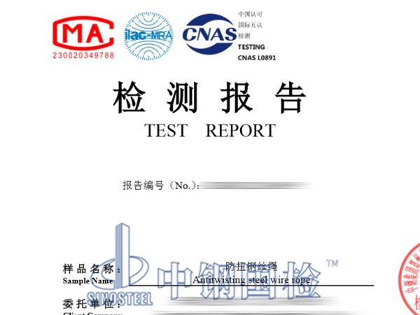 鐵路鋼絲繩檢測