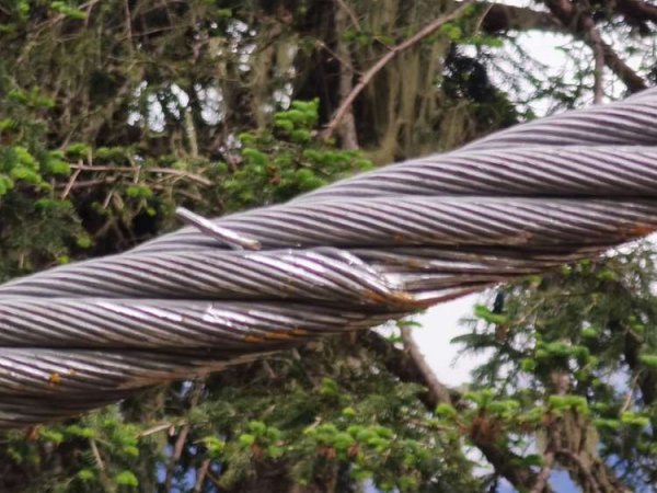 鋼絲繩失效分析